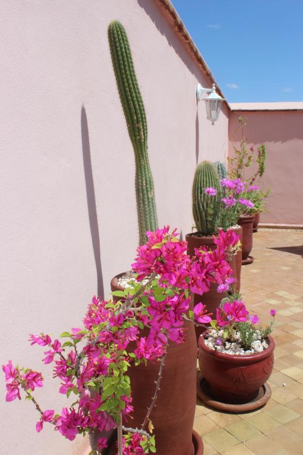 Riad El Arco Rooftop Pool & Spa マラケシュ エクステリア 写真